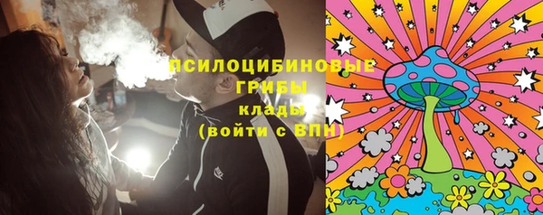 дживик Кадников